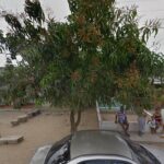 Imagen de Asadero dónde Pau