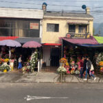 Imagen de Baruch Capsula