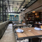 Imagen de Black Bear