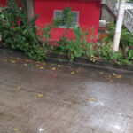 Imagen de Casa Hostal Villa Del Rio