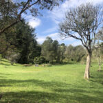 Imagen de Finca de 6 cuartos