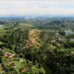 Imagen de Hotel Bahia Rionegro