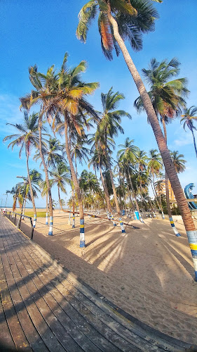 Imagen de LOS KIOSQUITOS