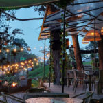 Imagen de MADEROS SENTIDOS