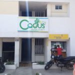 Imagen de cactus city hostel confort