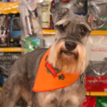 Almacén Veterinaria Agroguayaquil - Tienda de productos para mascotas en Barrancabermeja