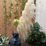 CASA BOUTIQUE - en Medellín