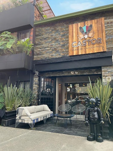 Imagen de Castor Muebles Y Accesorios Medellín - Tienda de muebles en Medellín