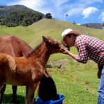 FERRETERÍA FERRORAÚL - Ferretería en Cali