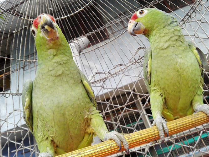 Imagen de FERRETERIA Y ELECTRICOS DUQUE - Ferretería en Medellín