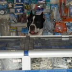 Ferrelectricos TPl - Ferretería en Bogotá