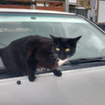 Ferretería AFC LTDA - Ferretería en Bogotá