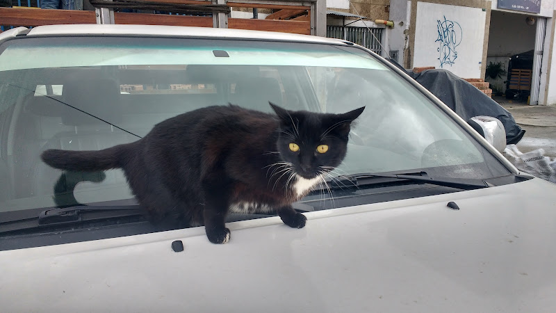 Imagen de Ferretería AFC LTDA - Ferretería en Bogotá