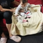 Ferretería Cardenas - Tienda de artículos para el hogar en Bogotá