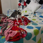 Ferreteria Ceballos - Ferretería en Cali