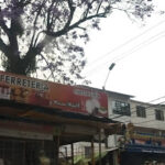 Ferretería Miscelanea y eléctricos los farallones - Ferretería en Cali