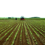 Ferricampos - Ferretería en Bogotá