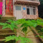 Imagen de Mini EcoHostal - en Cali