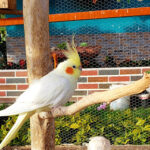 Miselanea Ferroagro El Desvare De San Jose - Tienda de artículos para el hogar en Medellín