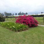 Imagen de Nazaret. Hermanas siervas de la Iglesia