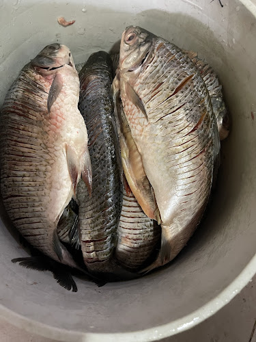 Imagen de Pescadocriollocartagena - en Cartagena