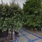 Imagen de Restaurante la babosa