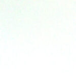 Imagen de Salsamentaria Charcutería El Imperial