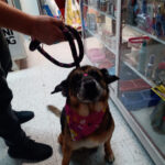 San mateo brasa - Restaurante especializado en chuletas en Soacha