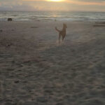 Soluciones Ferreteras - Ferretería en Medellín