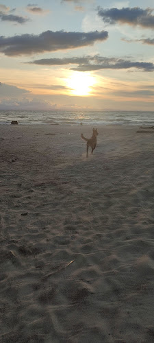 Imagen de Soluciones Ferreteras - Ferretería en Medellín