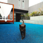 Imagen de Suites lounge - Hotel en Cali