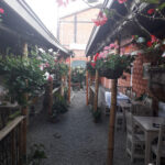 Imagen de al patio de la abuela