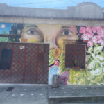 Imagen de casa sotavento hostal - en Cali