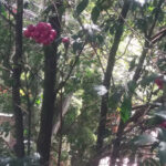 deposito y ferreteria playa blanca - Ferretería en Medellín