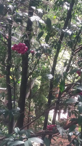 Imagen de deposito y ferreteria playa blanca - Ferretería en Medellín