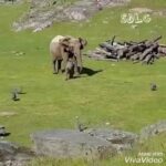 ferreteria y formaletas marin - Ferretería en Soacha