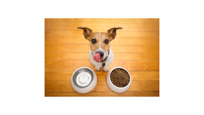 Imagen de ALMACÉN CENTRO VETERINARIO PENICHE - Cuidados veterinarios en Cali