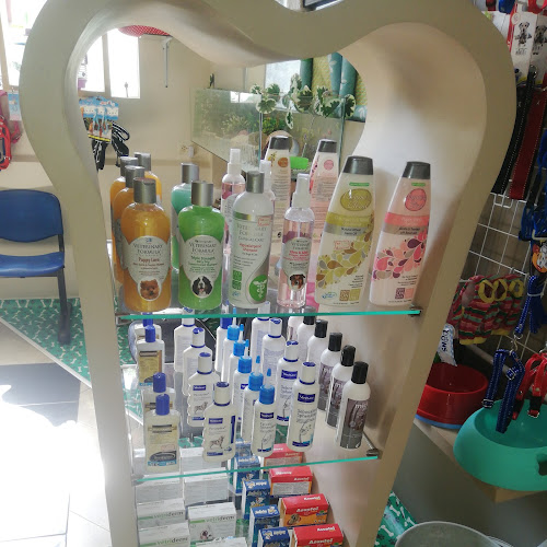 Imagen de CLINICA VETERINARIA DR SALINAS - Veterinario en Cartagena