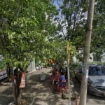 DROGUERÍA ESE Y ESE - Farmacia en Cartagena