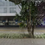 Drogueria Comfandi - Calle 5 - Farmacia en Cali