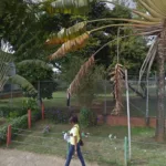 Droguería Droservir - Farmacia en Cali