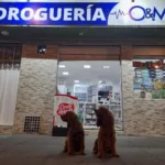 Droguería O&M - Farmacia en Bogotá