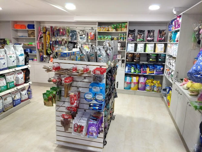 Imagen de EVI - Clínica Veterinaria 24h Sede Poblado - Servicio de urgencias veterinarias en Medellín