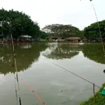 Palmeras del Norte Drogueria - Farmacia en Cali