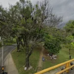 Todo Drogas Medicina Dolores - Farmacia en Medellín