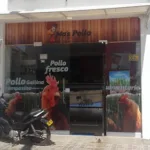 VÍA BALOTO DROGAS LA BOTICA DEL HOSPITAL NO. 2 RIOHACHA - Comercio en Riohacha